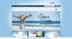 Desktop Screenshot of gilupi.com